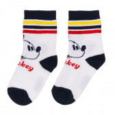 Σετ πέντε κάλτσες Mickey Mouse, πολύχρωμες Mickey Mouse 380862 2
