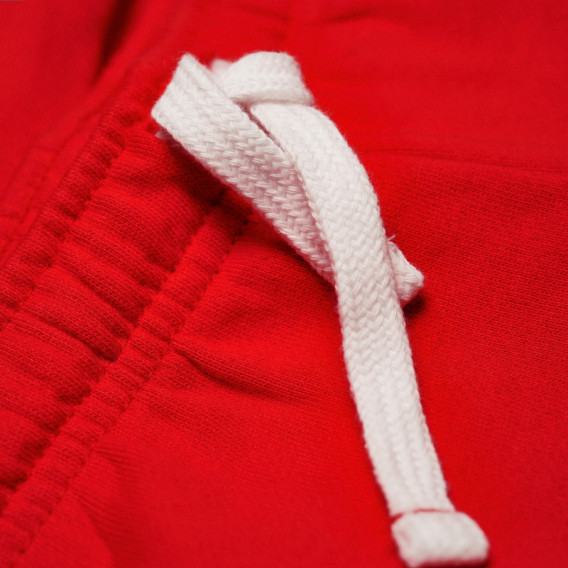 Αθλητικό παντελόνι για αγοράκι με επιγραφή, κόκκινο Chicco 38972 3
