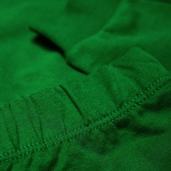 Παντελόνι για αγόρι με ίσια, πράσινη Chicco 39032 4