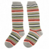 Κάλτσες μήκους 3/4 για ένα αγόρι - 3 κομμάτια Chicco 40273 2