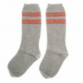 Κάλτσες μήκους 3/4 για ένα αγόρι - 3 κομμάτια Chicco 40275 4