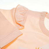Βρεφική, βαμβακερή μπλούζα για κορίτσι, με μακριά μανίκια και βολάν στους ώμους Pinokio 43837 3