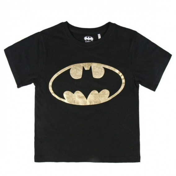 Βαμβακερό μπλουζάκι με λογότυπο Batman για αγόρι Batman 44938 
