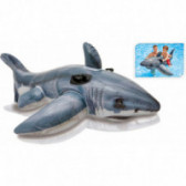 Φουσκωτά στρώματα Shark, 173 x 107 cm Intex 46404 