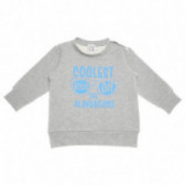 Βαμβάκι μακρυμάνικη μπλούζα και πολύχρωμη προφορά για ένα αγοράκι Little Celebs 52052 