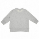 Βαμβάκι μακρυμάνικη μπλούζα και πολύχρωμη προφορά για ένα αγοράκι Little Celebs 52053 2