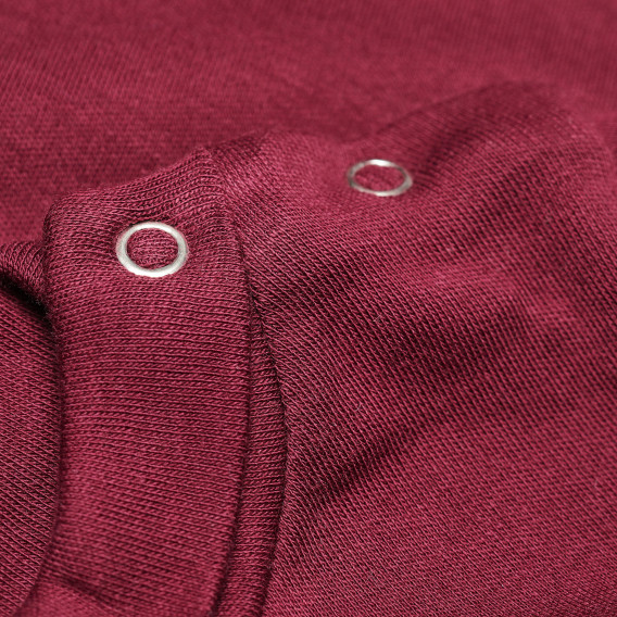 Βρεφική, βαμβακερή, μακρυμάνικη μπλούζα σε μπορντό χρώμα με μικρό τυπωμένο σχέδιο, για αγόρι Bebetto 55096 4