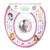 Μίνι κάθισμα τουαλέτας για παιδιά, με σχέδια της Μικρής Πριγκίπισσας Stor 58658 