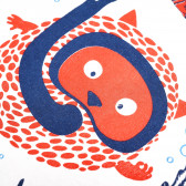 Βαμβακερό t-shirt της Canada House, με χαρούμενα θαλασσινά σχέδια, για αγόρι Canada House 61756 3