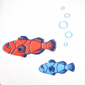 Βαμβακερό t-shirt της Canada House, με χαρούμενα θαλασσινά σχέδια, για αγόρι Canada House 61757 4