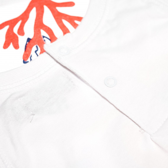 Βαμβακερό t-shirt της Canada House, με χαρούμενα θαλασσινά σχέδια, για αγόρι Canada House 61758 5