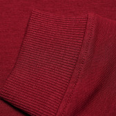 Κόκκινη βαμβακερή μπλούζα μακρυμάνικη με σχέδιο για κορίτσι Name it 61954 5