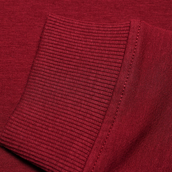 Κόκκινη βαμβακερή μπλούζα μακρυμάνικη με σχέδιο για κορίτσι Name it 62581 10