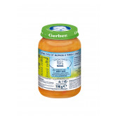 Nestle Gerber Πουρές καρότου και Κολοκυθόσουπα με φαγόπυρο, 6+ μηνών, βάζο 190 g. Gerber 73152 2