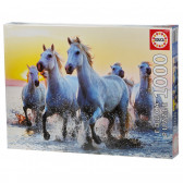 Παζλ Λευκά άλογα στο ηλιοβασίλεμα Educa 75123 2