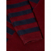 Βαμβακερό πουλόβερ με κουκούλα σε κόκκινο χρώμα για αγόρι Name it 77008 3