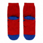 Κάλτσες με εικόνα του ήρωα spiderman και γράμματα για αγόρι. Spiderman 79886 2