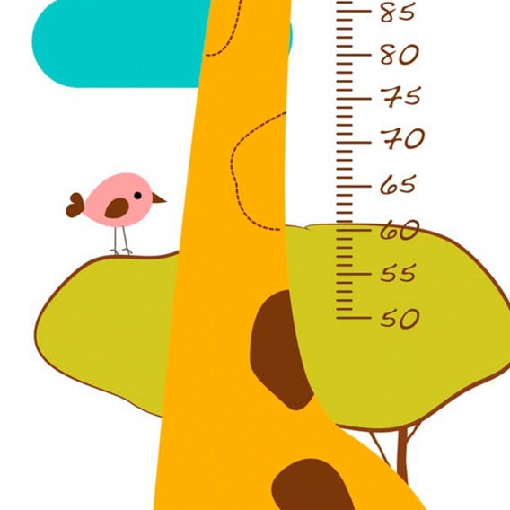 Διάγραμμα ανάπτυξης καμηλοπάρδαλης, αυτοκόλλητο τοίχου, αυτοκόλλητο για τη μέτρηση του ύψους Mycey 82851 2