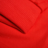 Βρεφικό, βαμβακερό σορτσάκι σε κόκκινο χρώμα με βολάν, για κορίτσι Pinokio 94469 4