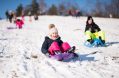 little,girl,sliding,with,bob,and,falling,in,the,snow.