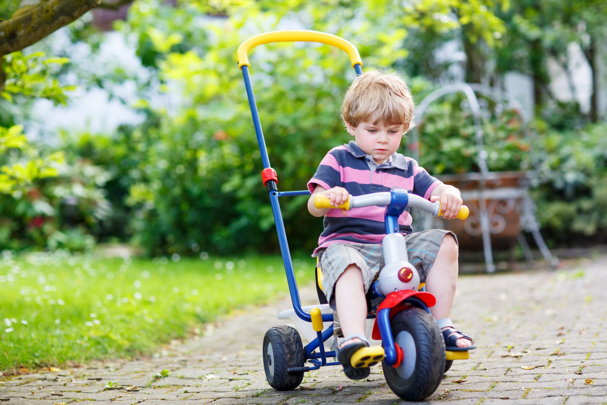 active,blond,kid,boy,driving,tricycle,or,bicycle,in,domestic